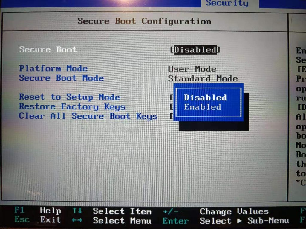 Disable Secure Boot